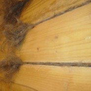 Конопатка деревянной бани